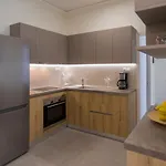 아파트 Anemelia Luxury