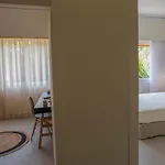 아파트 Anemelia Luxury